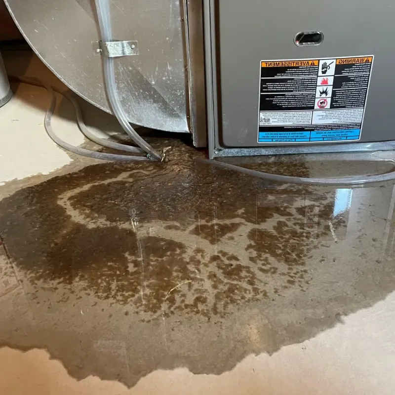 Pipe Burst and Leak Restoration in Spencer, OK